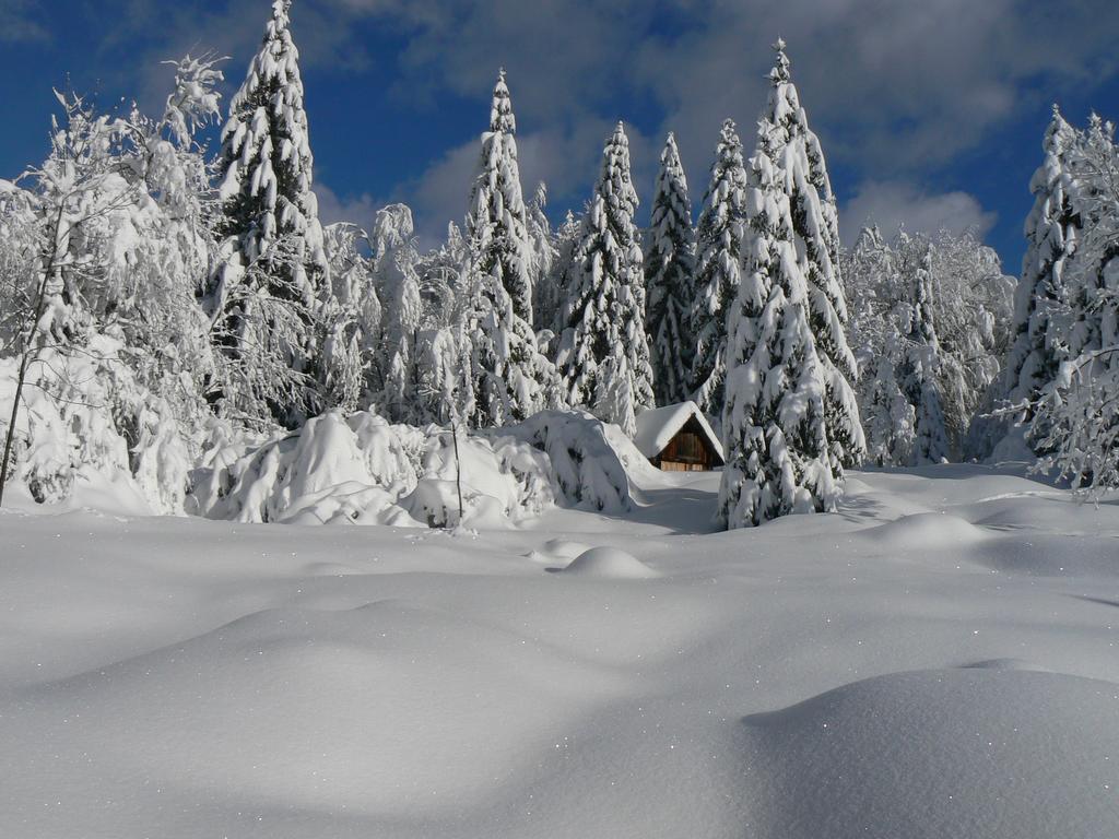 Hiska Henrik Zalokar Appartement Bohinj Buitenkant foto
