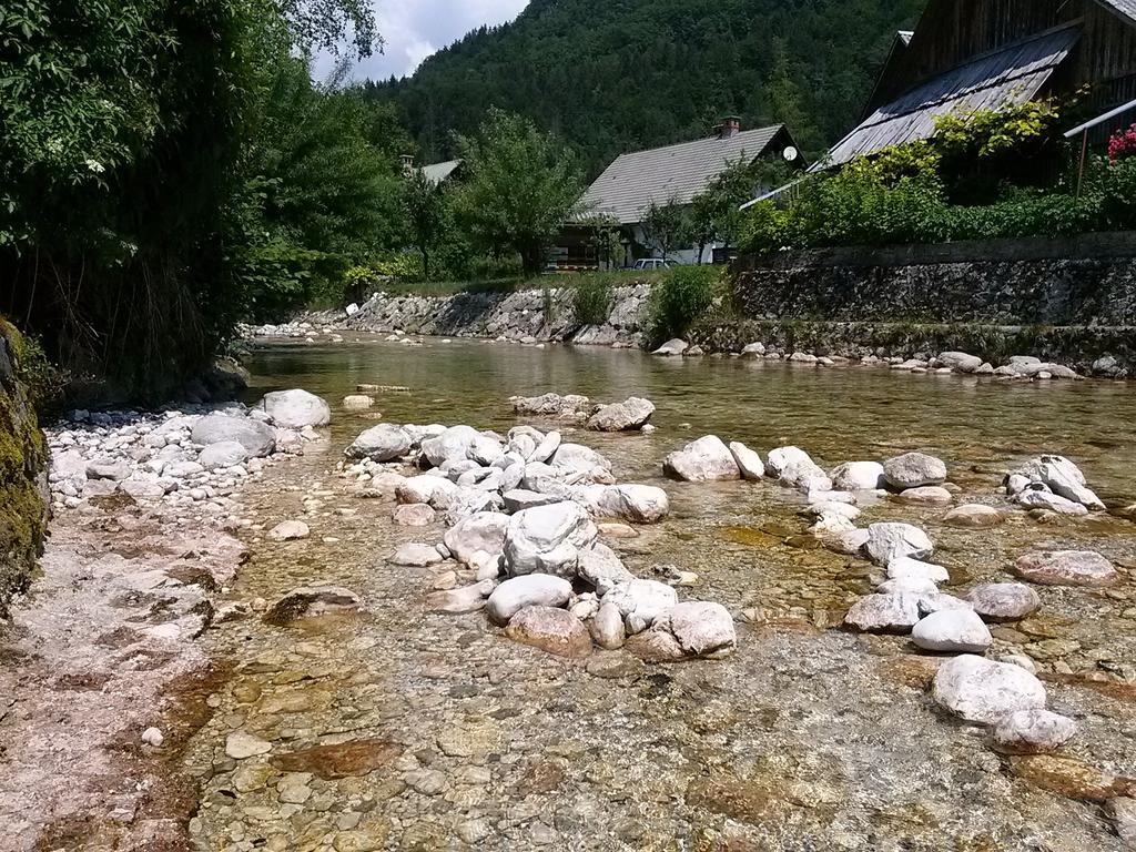 Hiska Henrik Zalokar Appartement Bohinj Kamer foto