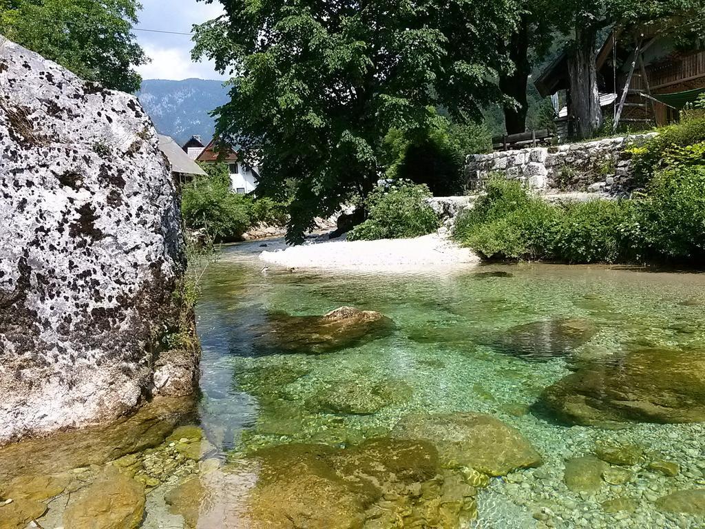 Hiska Henrik Zalokar Appartement Bohinj Buitenkant foto