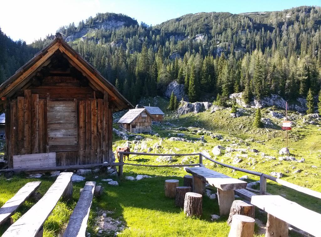 Hiska Henrik Zalokar Appartement Bohinj Kamer foto