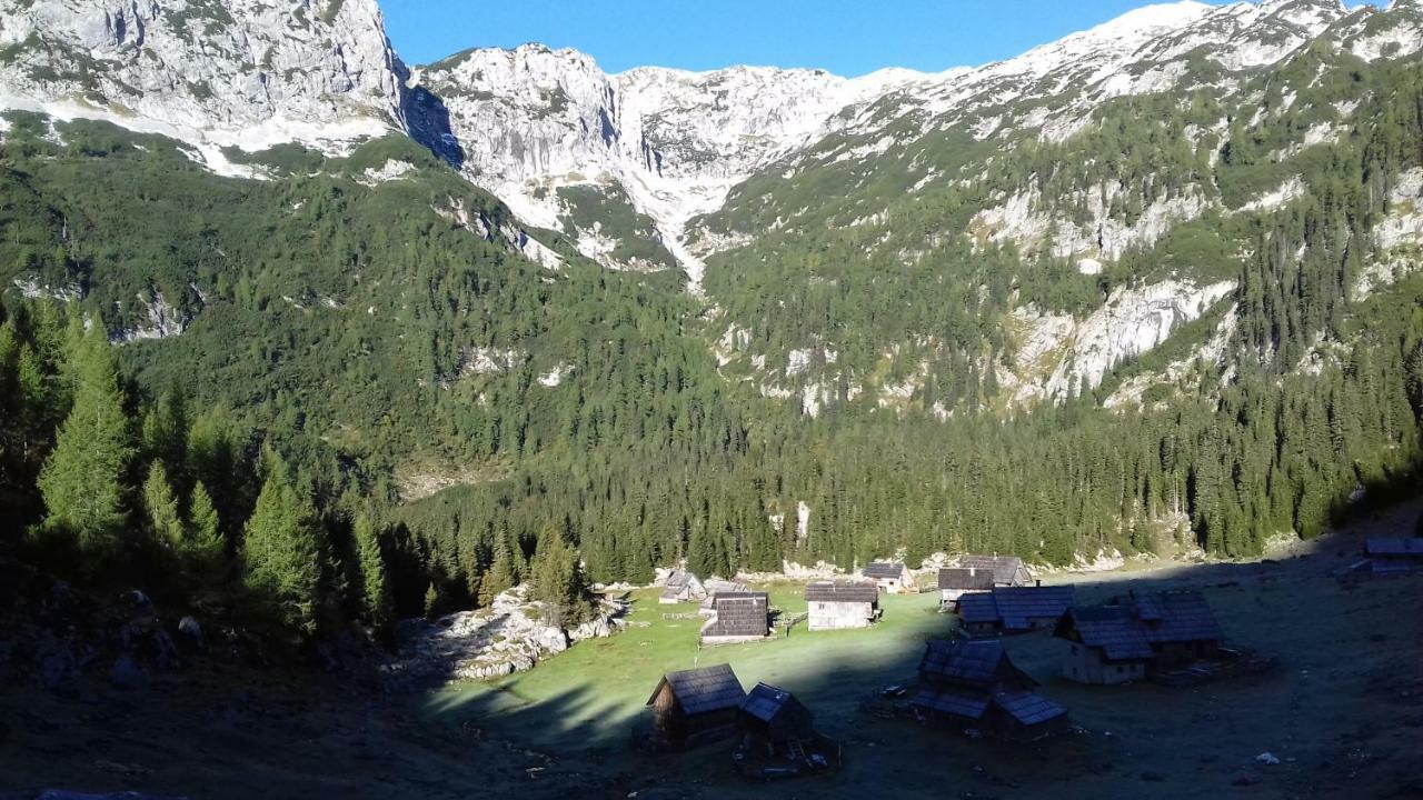 Hiska Henrik Zalokar Appartement Bohinj Buitenkant foto