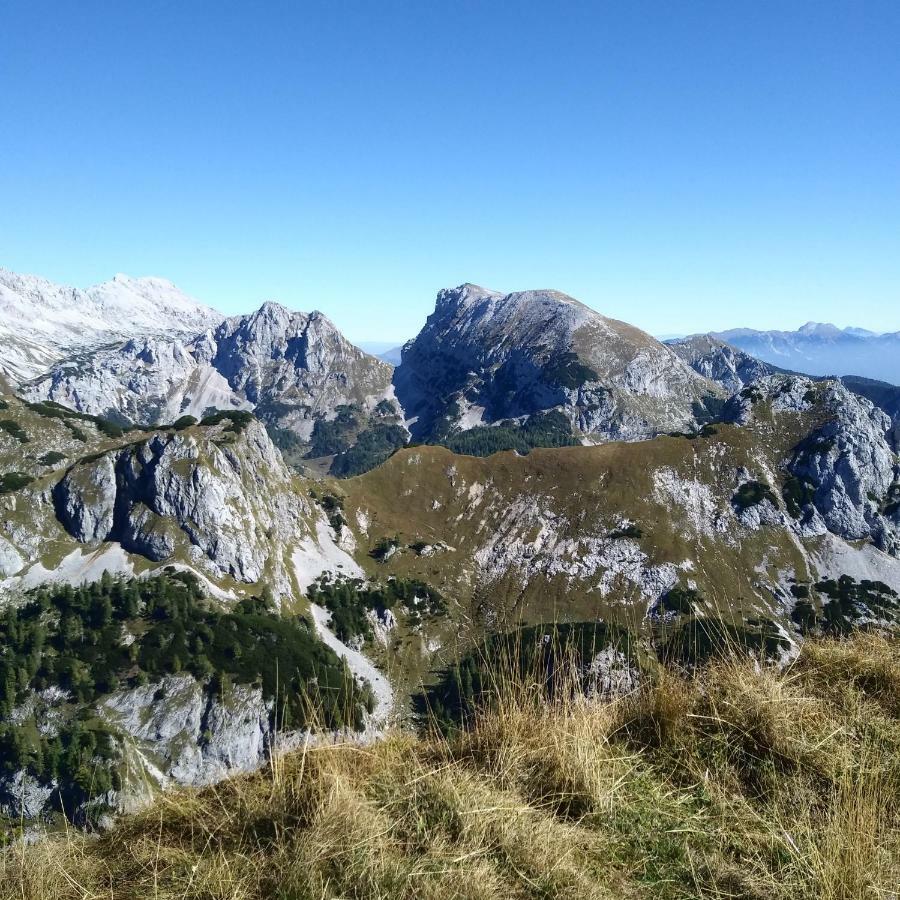 Hiska Henrik Zalokar Appartement Bohinj Buitenkant foto
